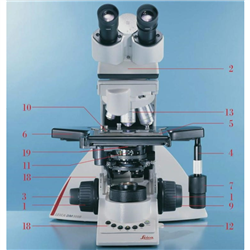 DM3000徕卡生物显微镜