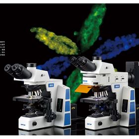 RX50舜宇显微镜